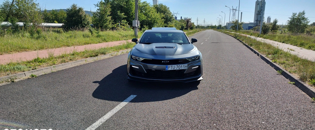 Chevrolet Camaro cena 185000 przebieg: 22700, rok produkcji 2021 z Turek małe 56